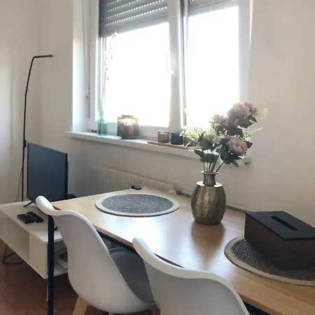 Appartement 7'4 - Proche Frontiere De Bale